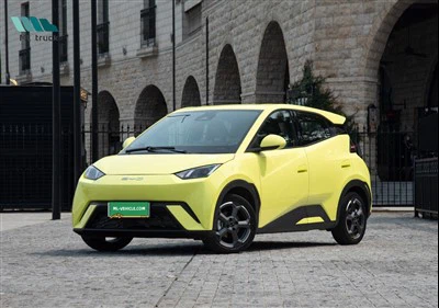 بی وای دی مرغ دریایی