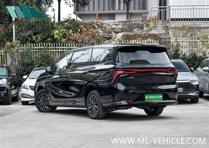 2024 DongFeng Forthing U-Tour V9 PHEV MPV